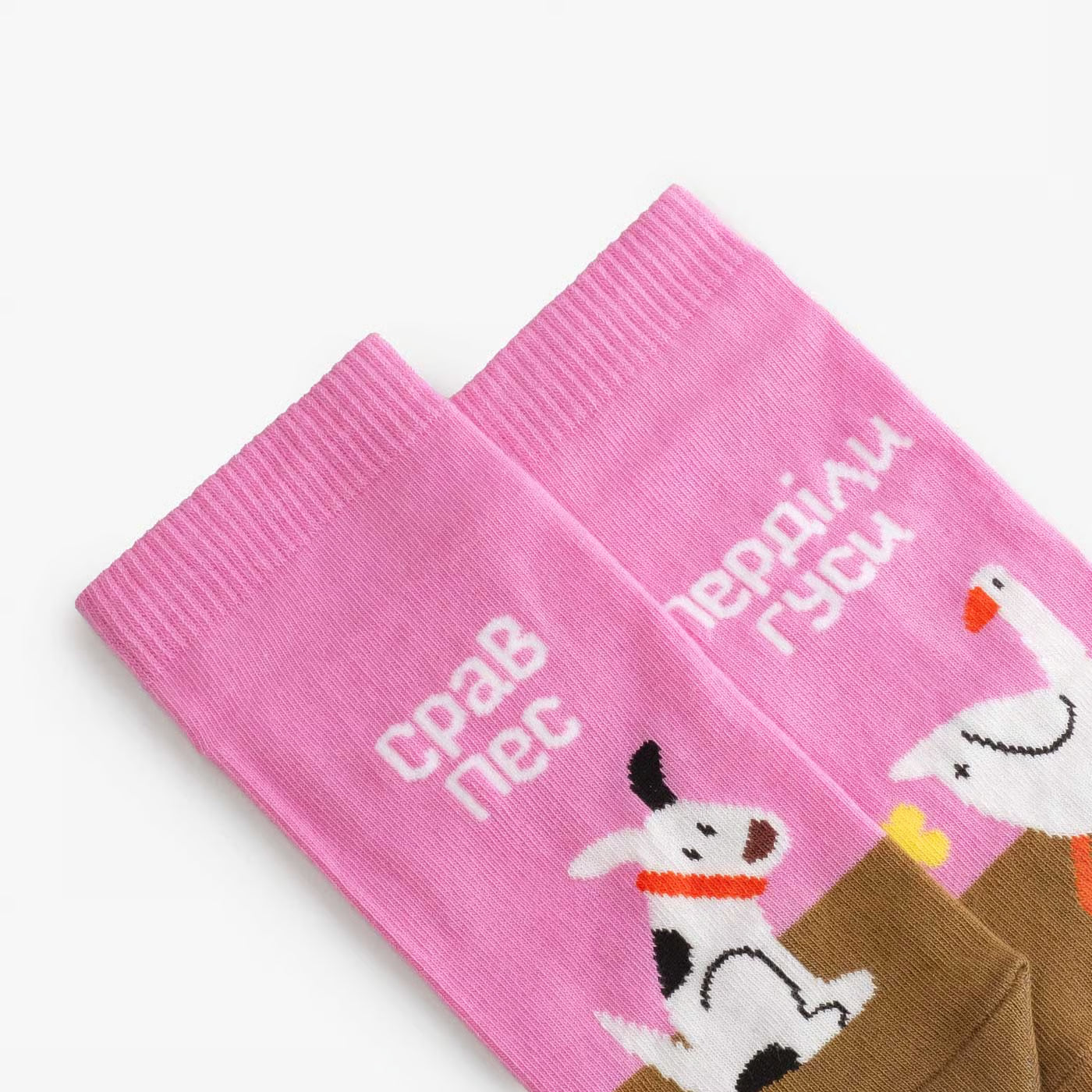 humor ankle cotton socks folded